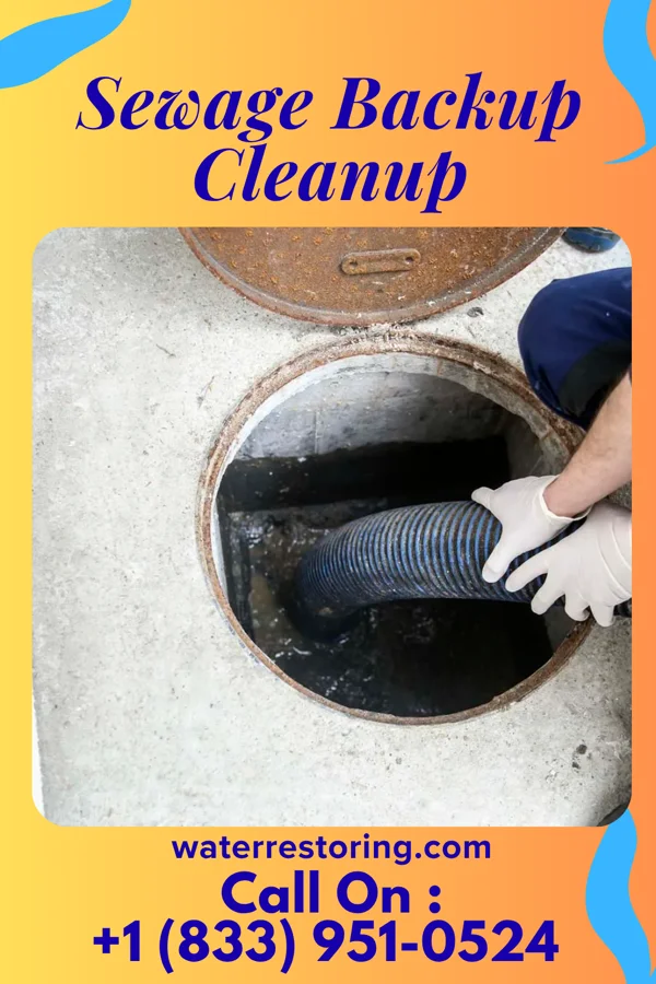 Sewage Backup Cleanup in Indian River Estates, FL